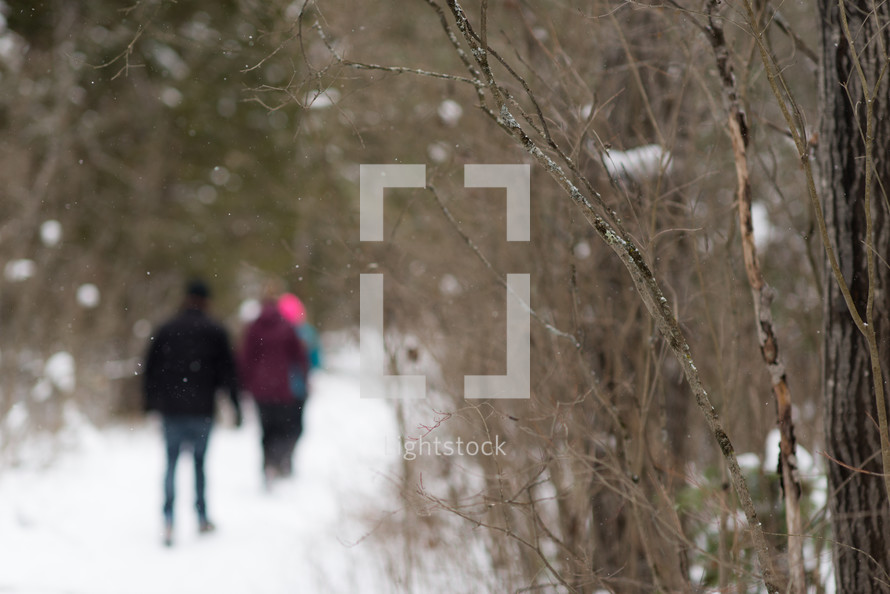 people walking through a forest in falling snow 