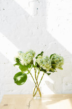 hydrangeas in a vase on a table 