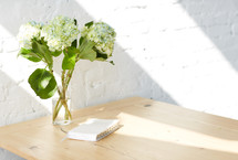 hydrangeas in a vase and Bible on a table 