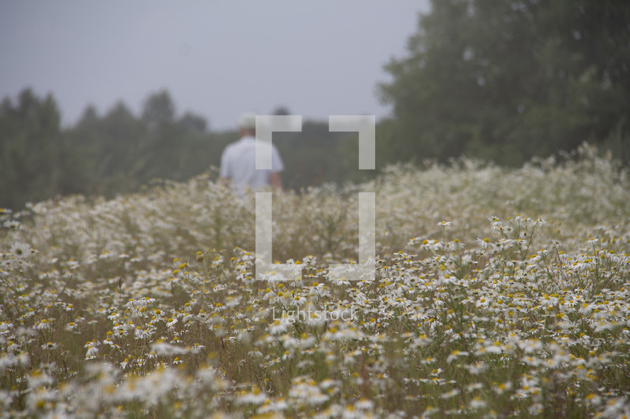 a man walking through a field of wildflowers 