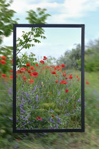Wood Frame With Transparent Glasses on Spring Field