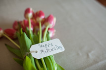 tulips for mothers day 