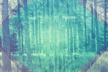 turquoise forest abstract background 