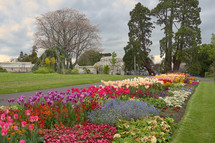 The National Botanic Gardens of Ireland. Spring in Dublin