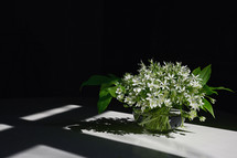 White flowers of Ornithogalum umbellatum or Star of Bethlehem in vase
