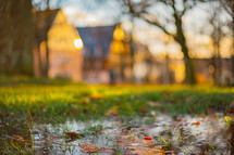 a puddle in grass and view of row houses 