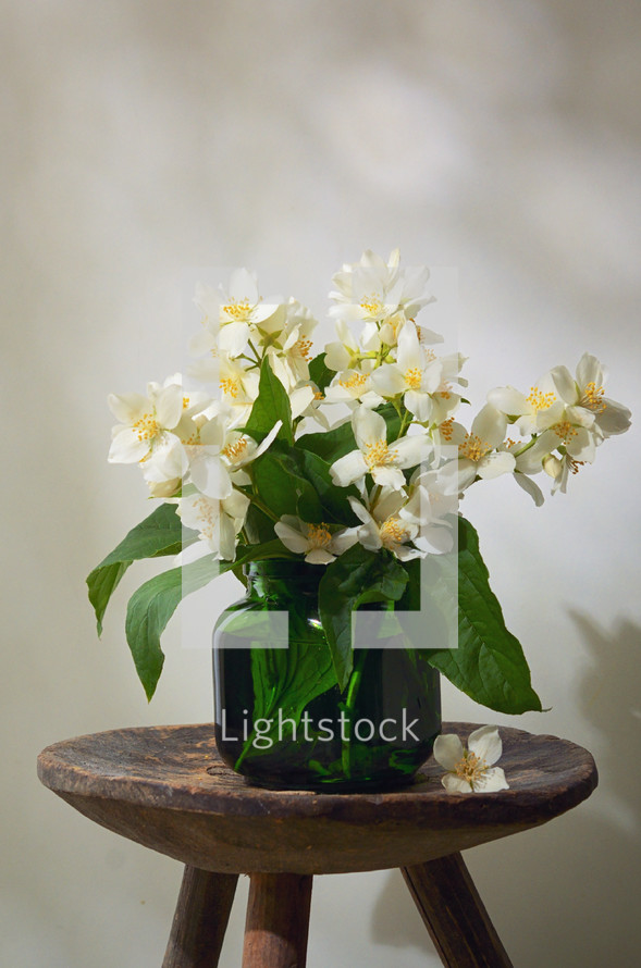 Beautiful Bouquet With Fresh Jasmine Flowers In Vase On Old Wooden Chair