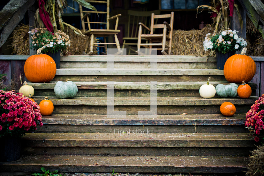 Beautiful autumn arrangement of pumpkins, flowers, gourds, wooden chairs, hay bales and tassels on wooden stairs.