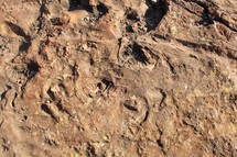 red rock texture 