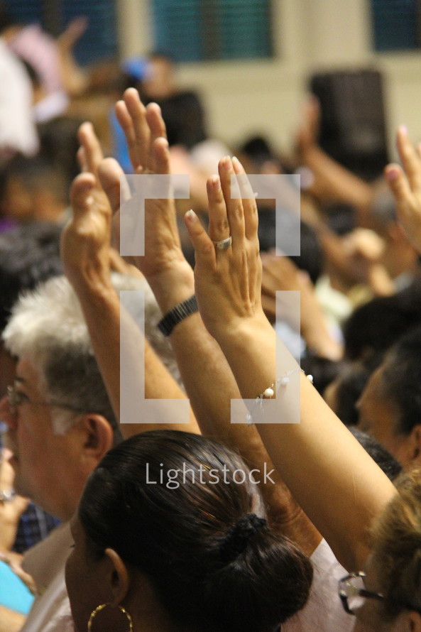 Large group worship with hands raised in adoration before the Lord
