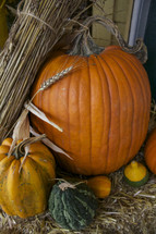 Pumpkins and gourds on a hay bale outside.