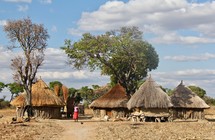straw roof huts in a village 