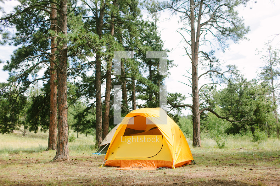 tents at campsite 