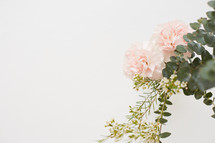 pink carnations and eucalyptus sprigs 