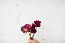 hand holding up dried roses 