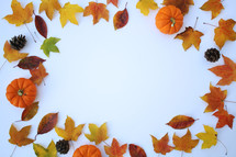 fall leaves and pumpkins on a white background 