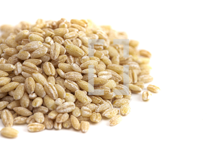 grains on a white background  
