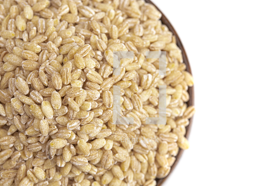 bowl of grains on a white background  