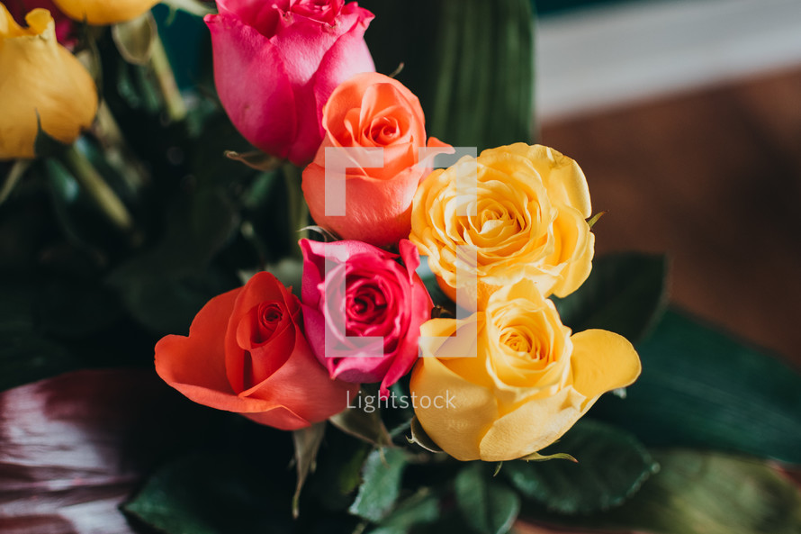 yellow, pink, and orange roses 