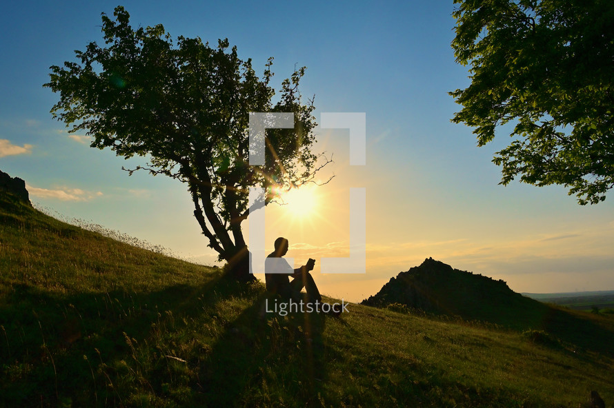  Man Reading Book Under Tree Against the Sunset