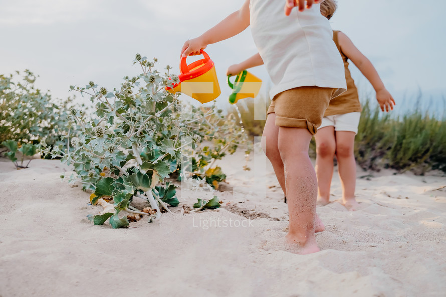 Cute unrecognizable little boys watering plants with cans on sandy beach. summer sunny day. Toddlers twins with colorful pots. Natural aestetic portrait of children. High quality photo