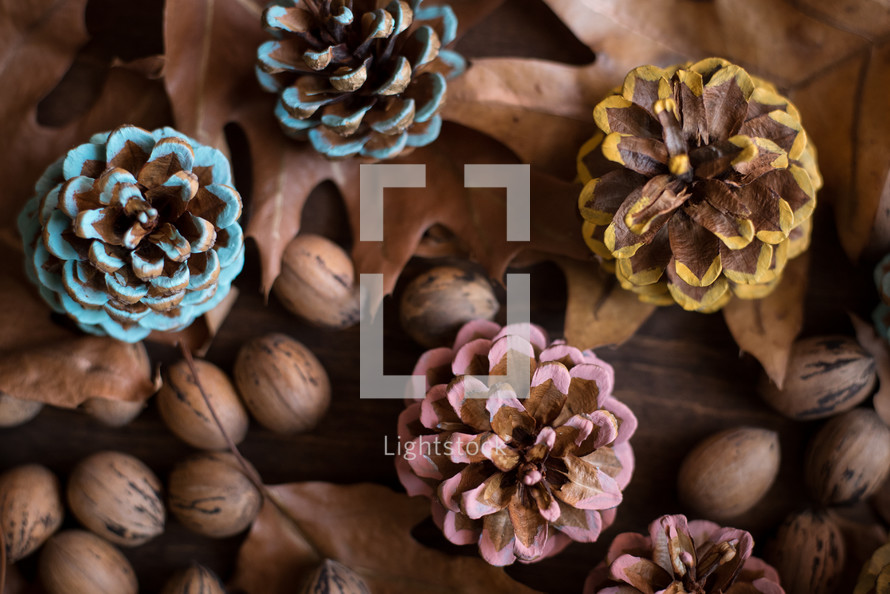 painted pine cones, fall leaves, and acorns 