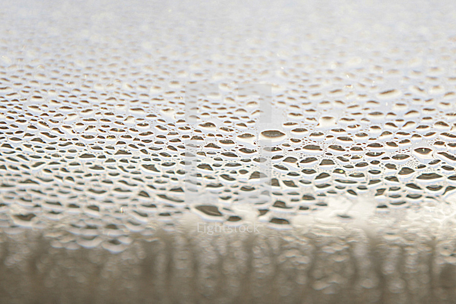 condensation on glass 