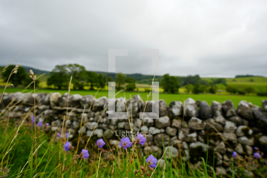 A stone fence in English Countryside