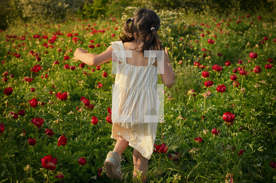 A Little Girl On Peony Field On A Sunny Summer Day
