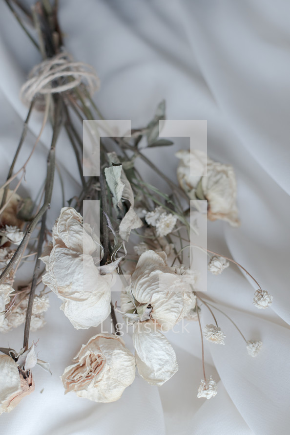 Wilted Rose With Soft Background, A small dried unripe rose, Dried roses on a brown background