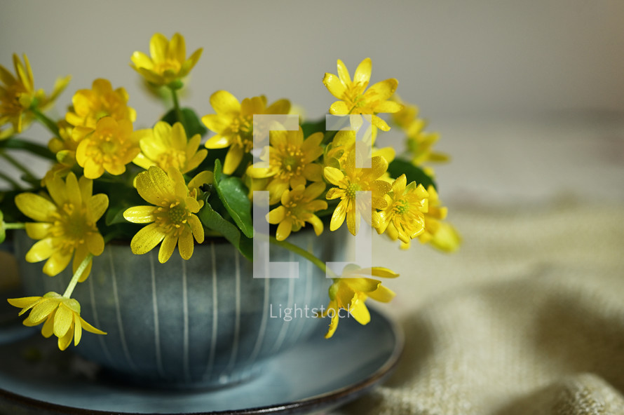 yellow flowers in a mug 