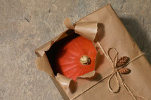 Autumn Pumpkin with Open Present Gift Box