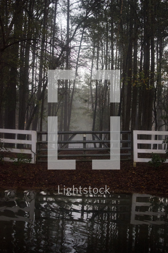 Gate in front of misty trees, reflected in the water