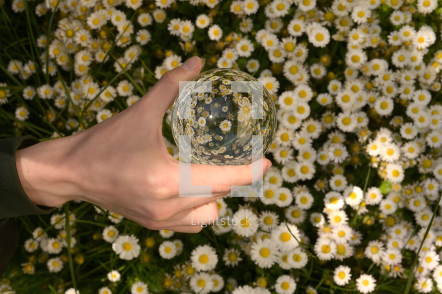 glass lens orb over field of daisies 