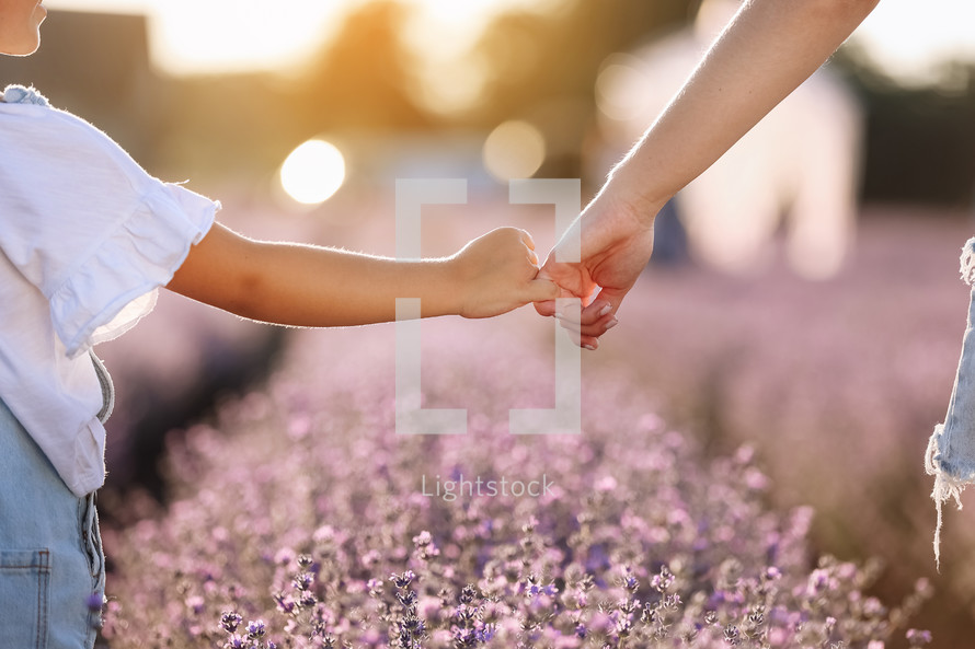 Happy family day. Mom holds her child daughter by hand in lavender field on summer day. Family outdoors in nature on sunset. Motherhood, childhood and care concept. Mothers day. Sun rays