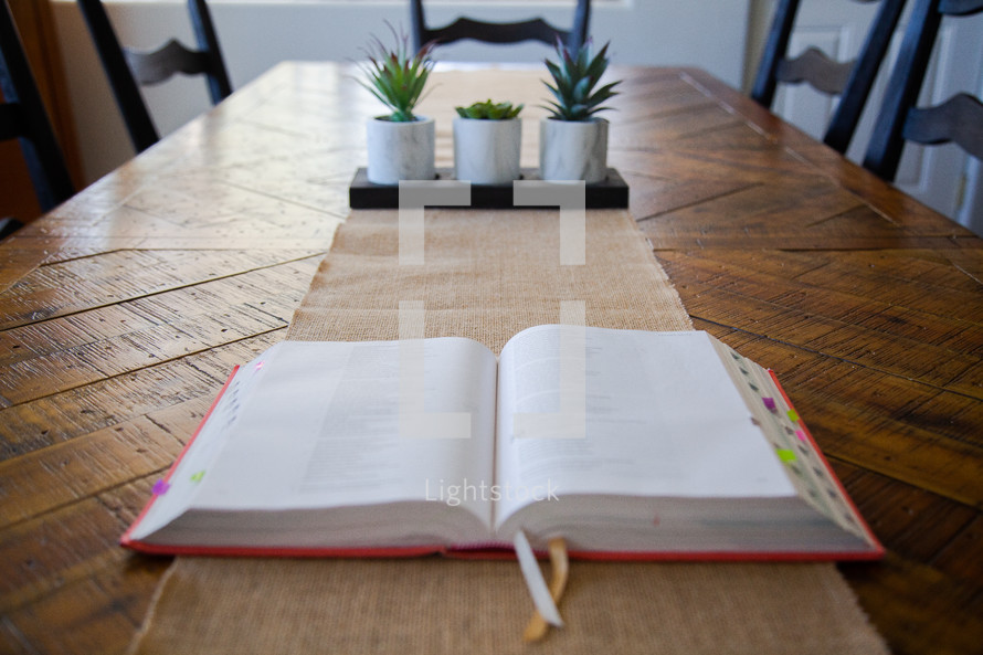 house plants and opened BIble 