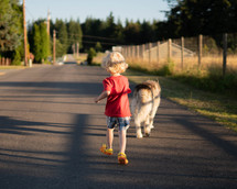 a toddler running after his dog 
