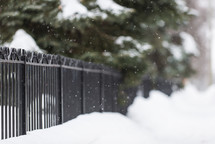 wrought iron fence and snow 