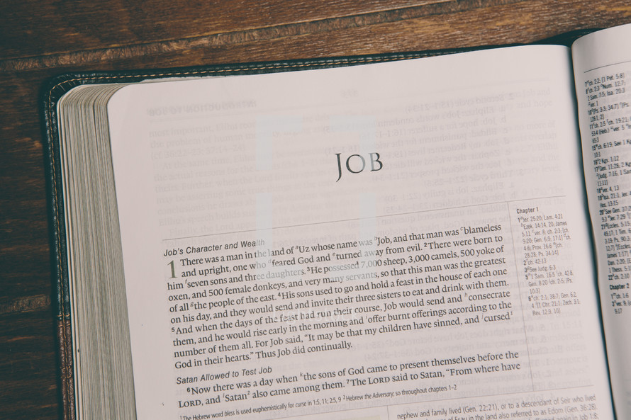 Bible opened to Job