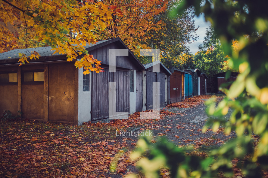 sheds in fall 