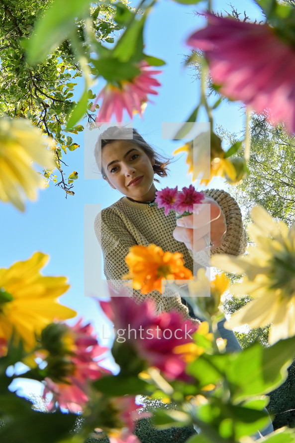 Young woman with Bouquet Below View of Flowers In Field