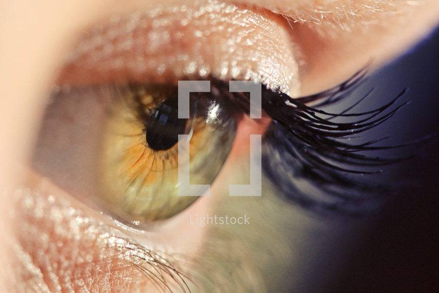Details of Human Eye Macro View with Natural Light