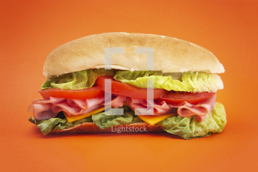 sub sandwich 