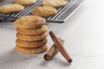Snickerdoodle Cookies on a Marble Kitchen Countertop