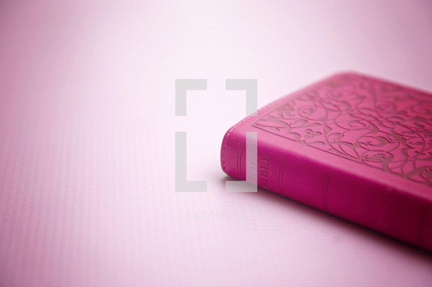 red Bible on a pink background 