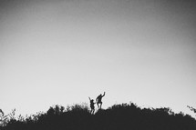 silhouette of a couple jumping holding hands 