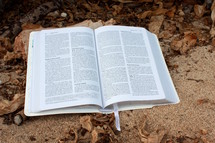 open Bible in the sand 