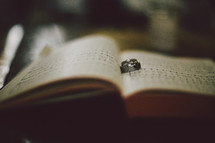 wedding rings on the pages of a Bible. 