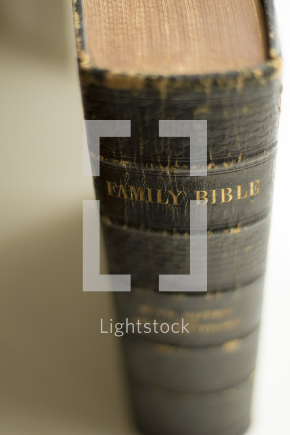 Family Bible spine 