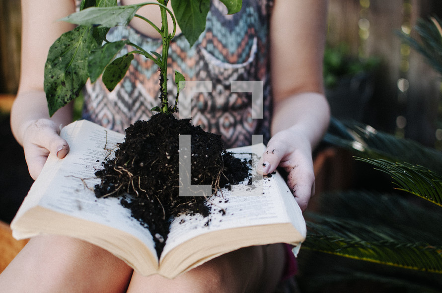 Hands holding an open book with a plant and dirt on the pages.